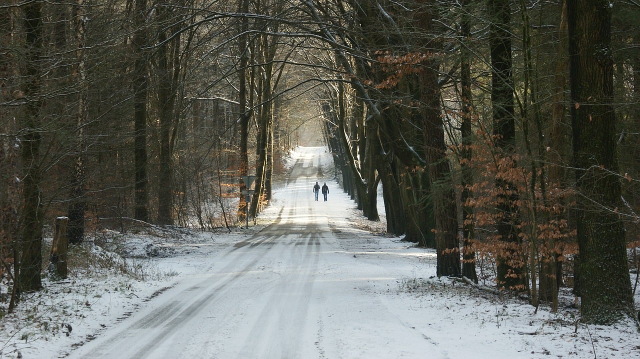 The Benefits of Minimalist Living for Mental Health
